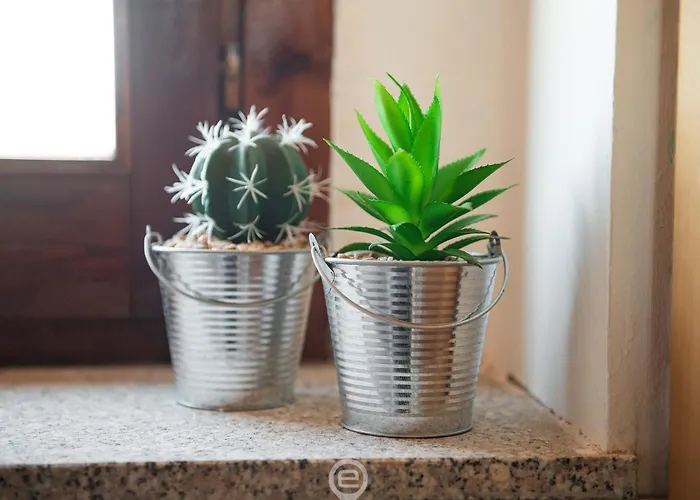 Relaxing Sunlit Getaway וילסימיוס